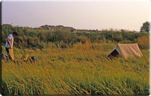 Murano camping